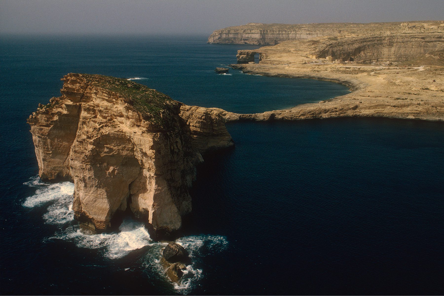 02_Malta-Fungus