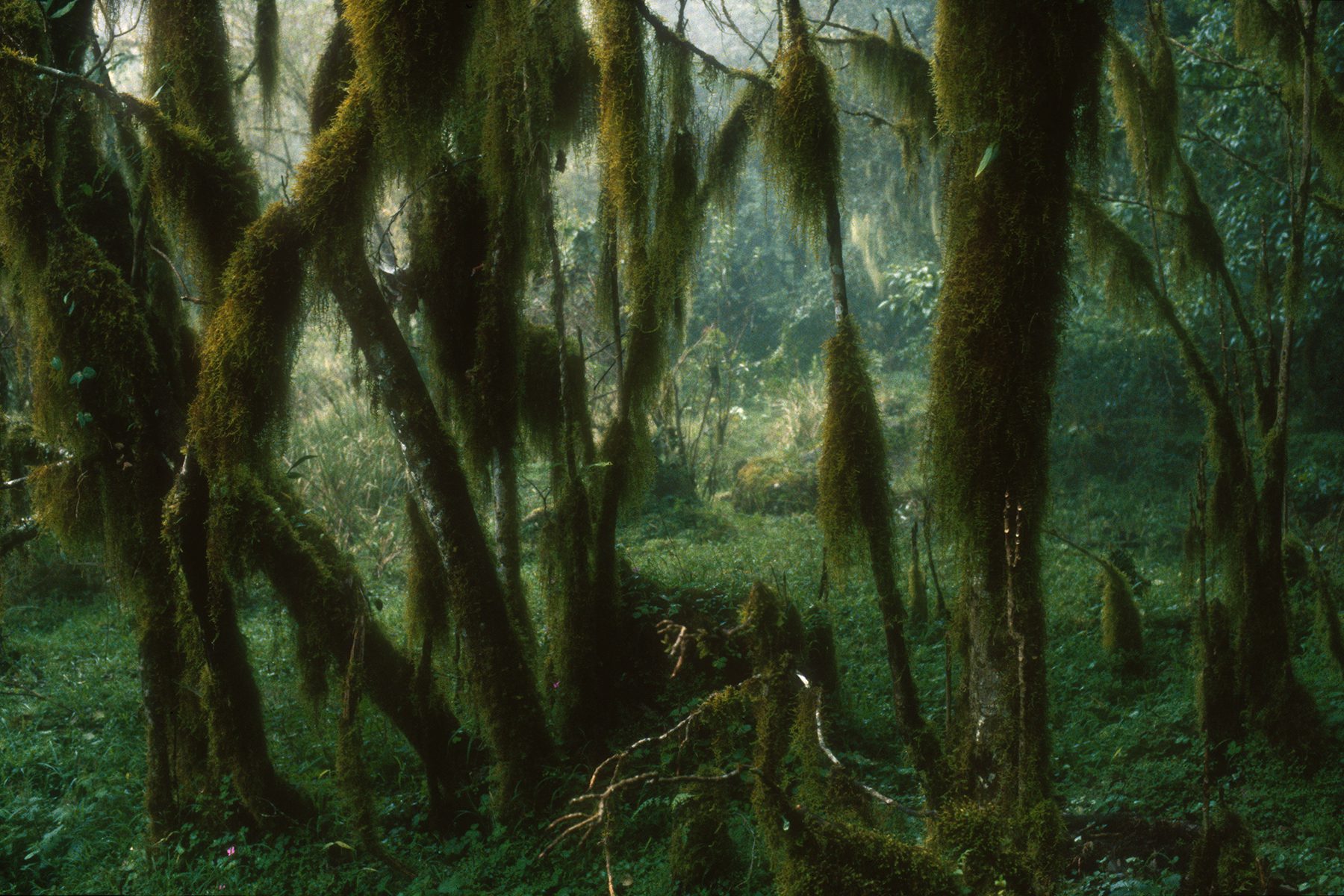 04 Mount Meru