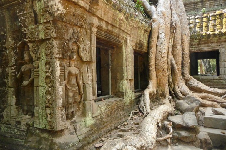 Kambodscha 2011 Ta Prohm